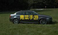 青菜手游
