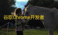 谷歌Chrome开发者工具包下载(Chrome Developer Tools) 61.0.3163.100 汉化版